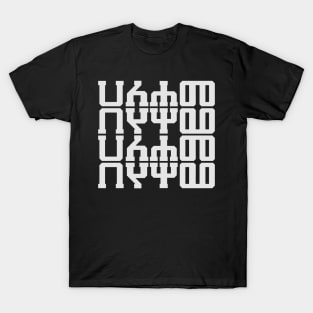 Ha Le Ha Me  (Amharic) T-Shirt